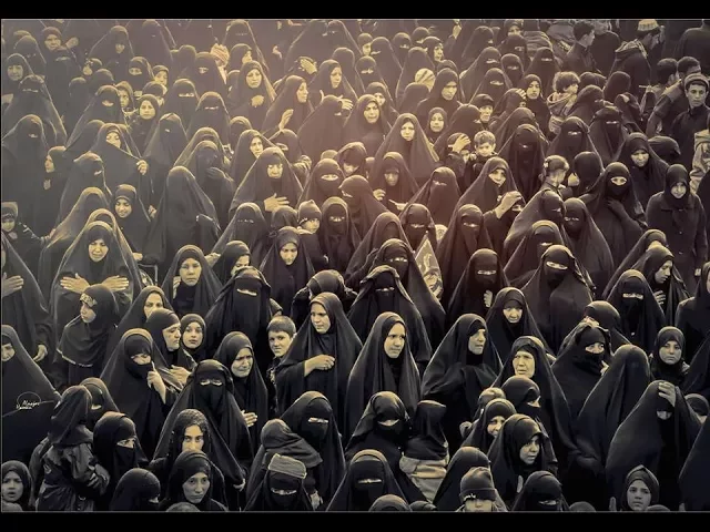 ⁣شاهد الطريق الى الحسين - مشاية الاربعين