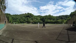                              دندنها
