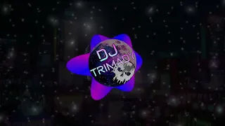 power of the acid dj trimady official visualizer 