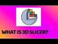 Introduction to 3D SLICER