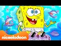 Download Lagu SpongeBob | 60 menit kehidupan terbaik SpongeBob! 🙌 | Nickelodeon Bahasa