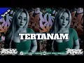 Lagu DJ TERTANAM | tony q rastafara reggae | BOOTLEG 2025 | RICKY FVNKY RMXER X AZY FVNKY YAUDAH IYA DJ