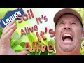 Lowes Plant Shopping Mulch Soil Health Tools
