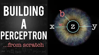 Building a Perceptron From SCRATCH no frameworks only math and python - The Origins of AI