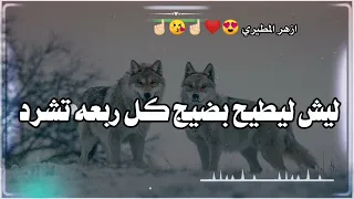 شعر شعبي اشعار عراقي عمي اريد اسولف هاي وليسمع يرد شعر حزين حالات واتساب حزينه ستوريات حزينه مقاطع  شعر شعبي اشعار عراقي عمي اريد اسولف هاي وليسمع يرد شعر حزين حالات واتساب حزينه ستوريات حزينه مقاطع