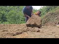 Download Lagu The father and son's job is to dig ponds and the mother cooks rice
