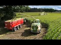 Lagu Mais 2025 | 24 ROWS | Krone BiG X 1180 + 780 | Big Transport | Busche Estorf