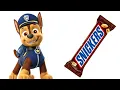 PAW Patrol Characters and Their Favorite Snacks Movies More Marshall Chase Skye