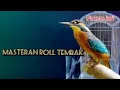 Download Lagu MASTERAN ROLL TEMBAK  Masteran burung lomba - Masteran burung kecil