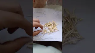 سفید انڈین مو صلی کی پہچان 