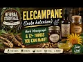 ELECAMPANE From Root to Remedy 12 Herbal Preparations You Can Make LIVE