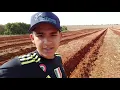 Surcano café com trator JD 6170J