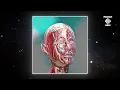 Download Lagu PREMIERE: Taylan - Yuga (Original Mix) [Protagonist Recordings]