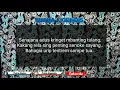 Download Lagu WONG TANI KARAOKE