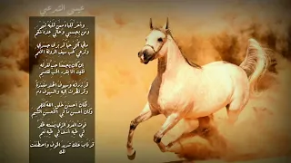 قصيدة الخيل والليل والبيداء تعرفني للشاعر أبو الطيب المتنبي إلقاء عيسى الشرعبي 