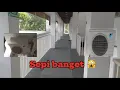 Download Lagu Lorong Tersembunyi Ini Punya Puluhan AC Outdoor Dai*kin ❗️🙀