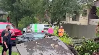 Sidewalk lifts off the ground after tree falls in roadway