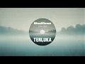 Download Lagu Shadflows - TERLUKA (Official Audio)