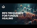Download Lagu Rife Frequency Healing: Fungus Frequency and Yeast Infection Subliminal