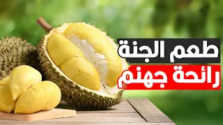 أغرب أنواع الفاكهة في العالم 