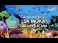 Download Lagu Esa Mokan - Lagu Daerah Sulawesi Utara (Lirik dan Terjemahan)