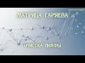 Матрица Гаряева для Очищения Лимфы ☀️ Восстановление Лимфатической Системы ☀️Исцеление Звуком