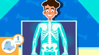 🧠🦴O CORPO HUMANO para crianças 💖🧍🏻‍♂️ Recopilação de 1 hora