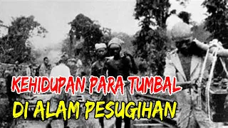 Download CERITA MISTERI KISAH NYATA : KEHIDUPAN PARA TUMBAL DI ALAM PESUGIHAN MP3