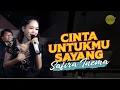 Download Lagu CINTA UNTUKMU SAYANG - Safira Inema Cover | Lirik Lagu | Setiap Detik Slalu Ku Memikirkanmu..