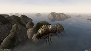Morrowind Mod - Immersive Travel Silt Strider