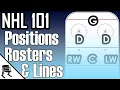 How Positions Roster and Lines work in the NHL NHL 101