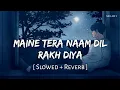 Download Lagu Maine Tera Naam Dil Rakh Diya (Slowed + Reverb) | Raghav Chaitanya | Ek Villain Returns | SR Lofi