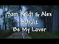 Lagu Sam Feldt \u0026 Alex Schulz - Be My Lover - Lyrics
