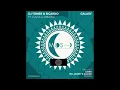 Download Lagu DJ Tomer \u0026 Ricardo ft Ilana Lorraine _ Galaxy (Caiiro Extended Remix )