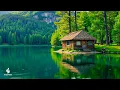 Download Lagu Soothing, relaxing music reduces stress and stops thinking too much