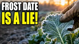 Most Gardeners Use the WRONG First-Frost Date Check These 3 Yard Signals Instead