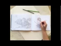 The Sibley Birds Coloring Field Journal