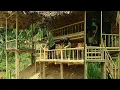 Download Lagu Living Free in the Forest | Building Stairs \u0026 Finishing Room Dividers | Thành Lương TV