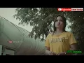 Download Lagu Tompo loro koplo - Sela silvina