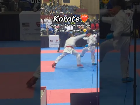 Realmente funciona el Karate? 🤡