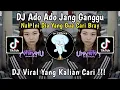 Download Lagu DJ NAH INI DIA YANG GUA CARI BRAY | JANG GANGGU ANGGA FVNKY REMIX TIKTOK TERBARU 2023