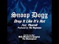 Drop It Like It's Hot (Radio Edit)