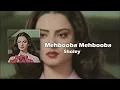 Mehbooba Mehbooba Speed Up | Full Audio | Sholey | ROAR