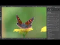 Sharpening with RawTherapee
