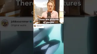 Are These Orcas Biting the Rudder or Pushing It?