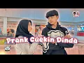 Download Lagu SALMAN CUEKIN DINDA , DINDA JADI SEDIH 🥹