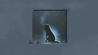 A K R A L A I L A I U L T R A S L O W E D 