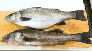 同じ『スズキ』ですが、実は全く違います。