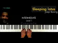 Joep Beving - Sleeping lotus 2.1.3 | PIANO TUTORIAL