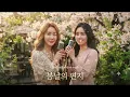 🎵 봄날의 편지🔥(Highly Addictive)🔥Addictive AI K-Ballad You Can't Stop Playing!🔥Prod. by Black_Z.W 🎵